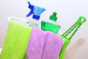 Eco-Friendly Carpet Tips