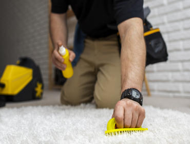 Residential Carpet Cleaning